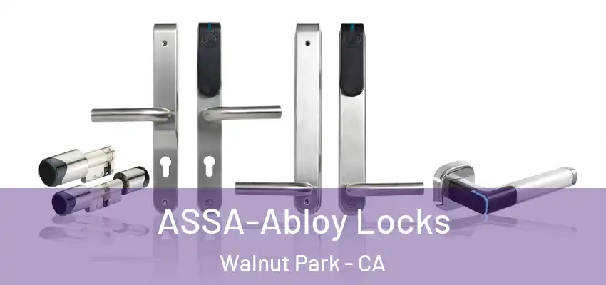  ASSA-Abloy Locks Walnut Park - CA