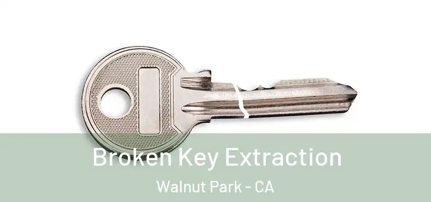  Broken Key Extraction Walnut Park - CA