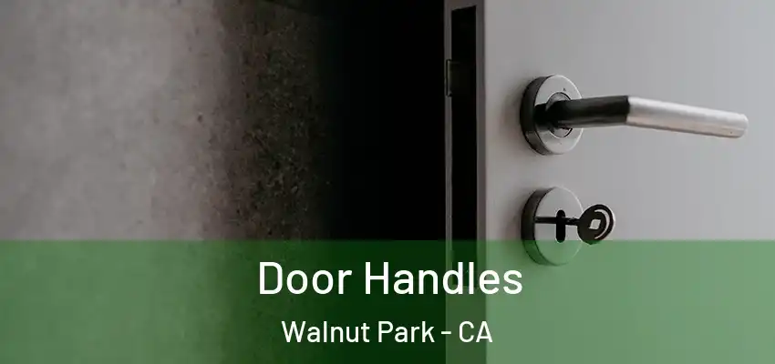  Door Handles Walnut Park - CA