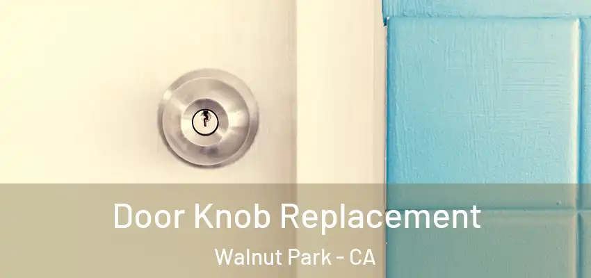  Door Knob Replacement Walnut Park - CA