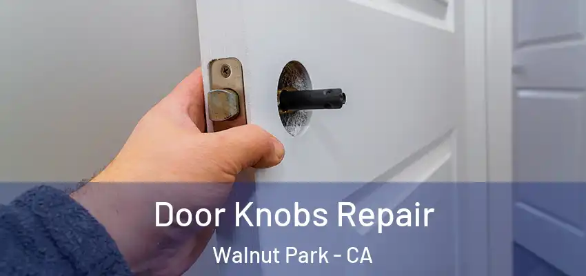  Door Knobs Repair Walnut Park - CA