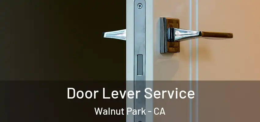  Door Lever Service Walnut Park - CA