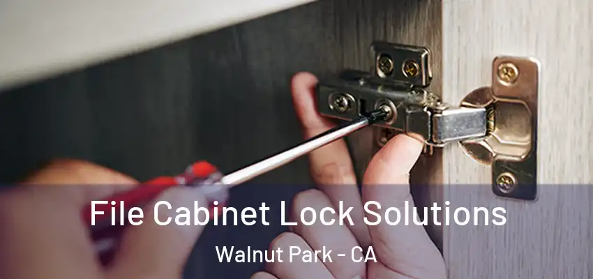 File Cabinet Lock Solutions Walnut Park - CA