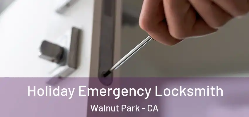 Holiday Emergency Locksmith Walnut Park - CA