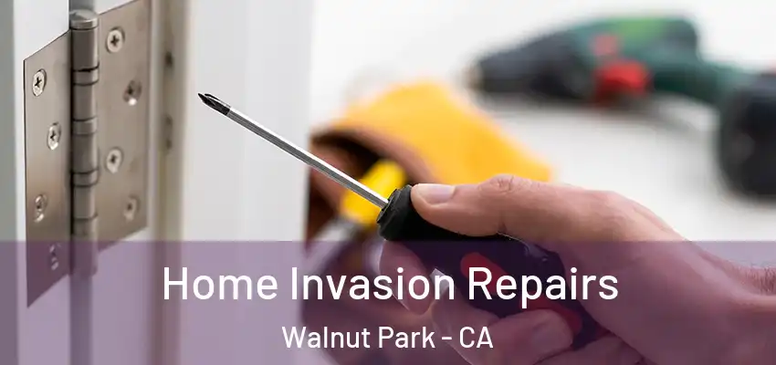  Home Invasion Repairs Walnut Park - CA