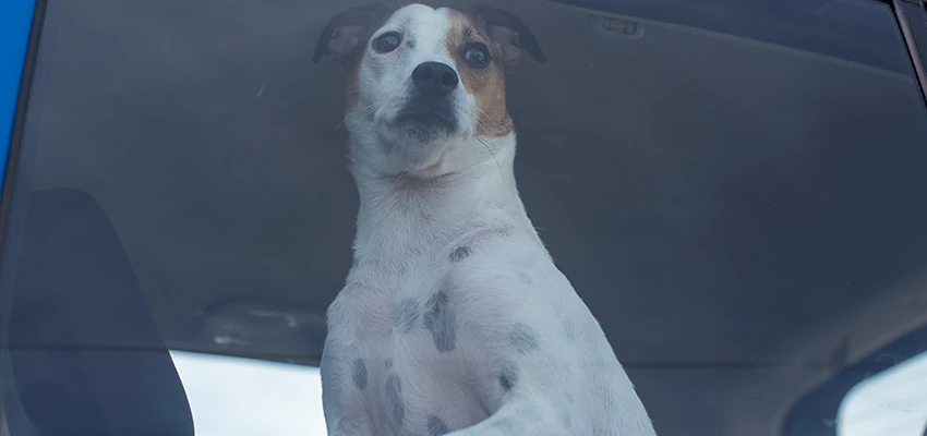 Car Lockout Solutions in Walnut Park, California