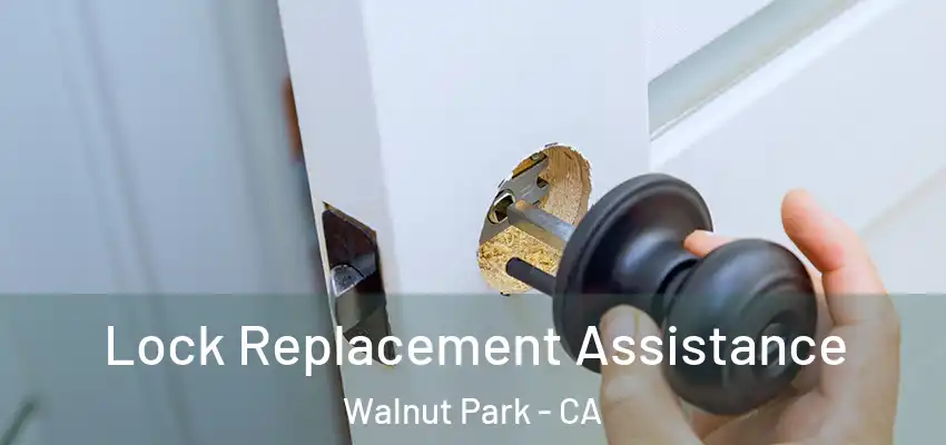  Lock Replacement Assistance Walnut Park - CA