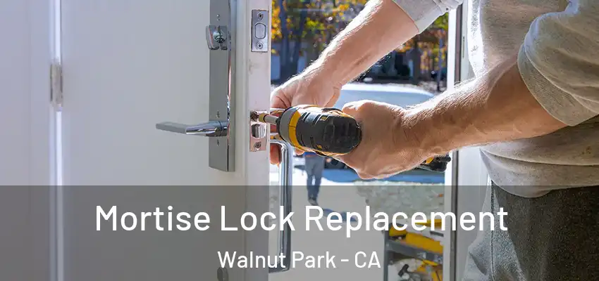  Mortise Lock Replacement Walnut Park - CA