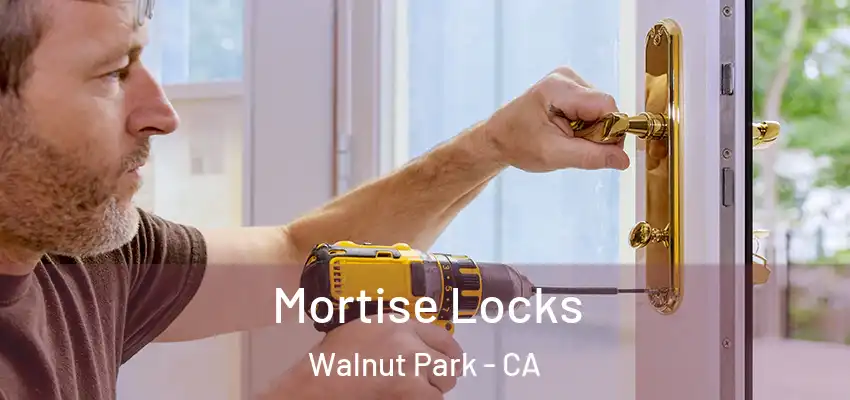  Mortise Locks Walnut Park - CA