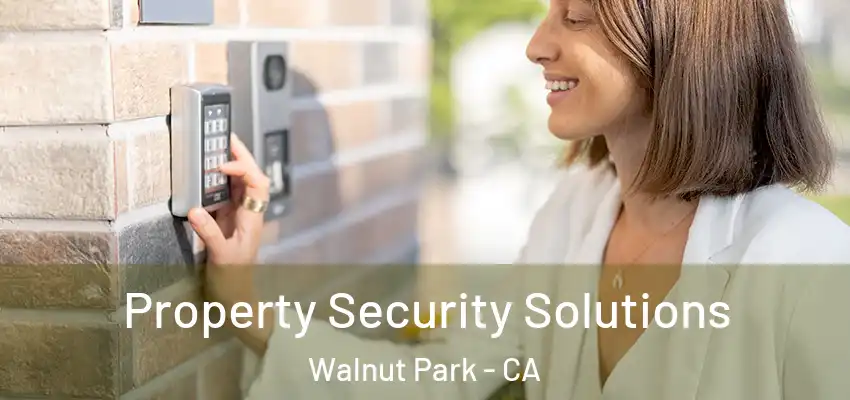  Property Security Solutions Walnut Park - CA